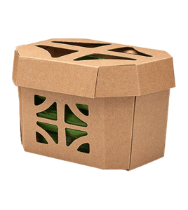 Materialien Graspapier Lebensmittelverpackungen